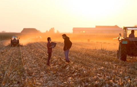 school-trip-farm
