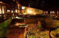 Lullingstone Roman Villa - Main Image