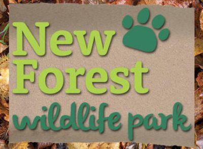 New Forest Wildlife Park Southampton - Main Image