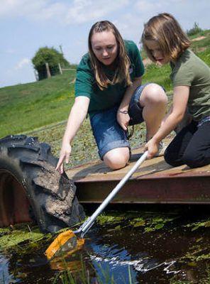 Bickley Hall Farm Wildlife Discovery Centre Cheshire - Third Image