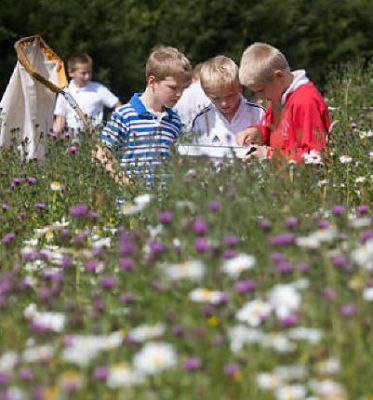 Bickley Hall Farm Wildlife Discovery Centre Cheshire - Forth Image