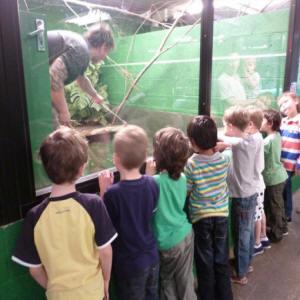 Crocodiles of the World Zoo Workshops Oxfordshire - Second Image