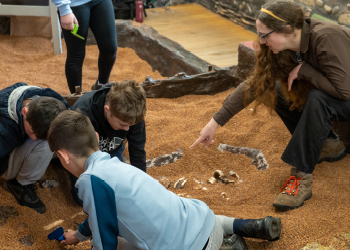 DIG: An Archaeological Adventure York - Main Image