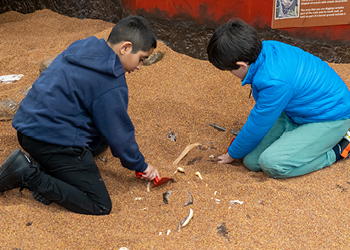 DIG: An Archaeological Adventure York - Third Image