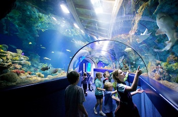 Bristol Aquarium - Second Image Bristol Aquarium - Second Image