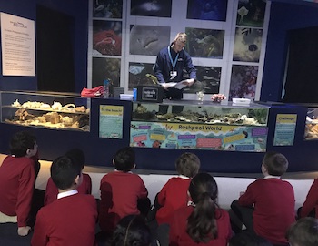 Bristol Aquarium - Third Image Bristol Aquarium - Third Image