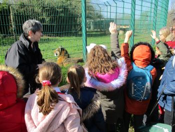 Wildheart Animal Sanctuary - Second Image