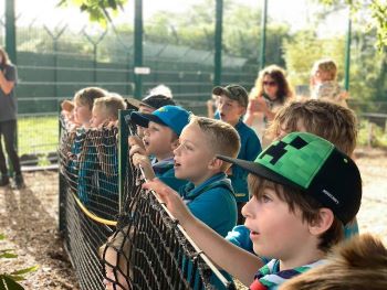 Wildheart Animal Sanctuary - Forth Image