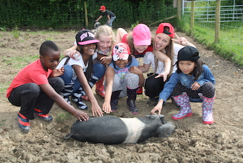 Magdalen Farm Residential Education Centre Dorset - Forth Image Magdalen Farm Residential Education Centre Dorset - Forth Image