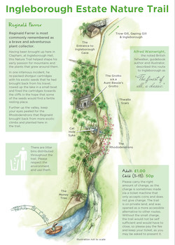 Ingleborough Cave & Ingleborough Estate Nature Trail Yorkshire Dales - Second Image