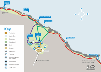 RSPB Bempton Cliffs Nature Reserve East Yorkshire - Forth Image