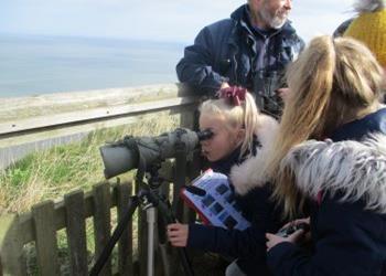 RSPB Bempton Cliffs Nature Reserve East Yorkshire - Third Image