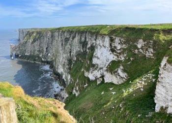 RSPB Bempton Cliffs Nature Reserve East Yorkshire - Second Image