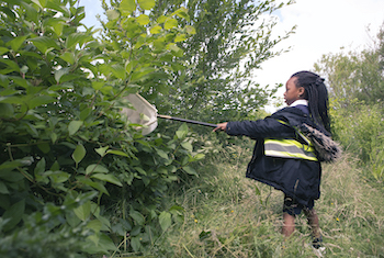 RSPB Conwy Nature Reserve - Second Image