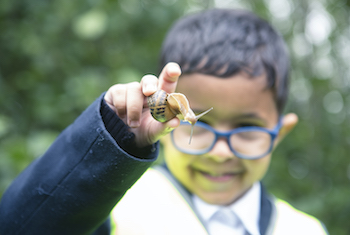 RSPB Conwy Nature Reserve - Third Image