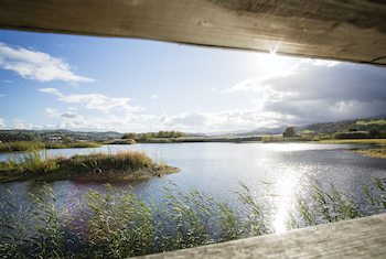 RSPB Conwy Nature Reserve - Forth Image