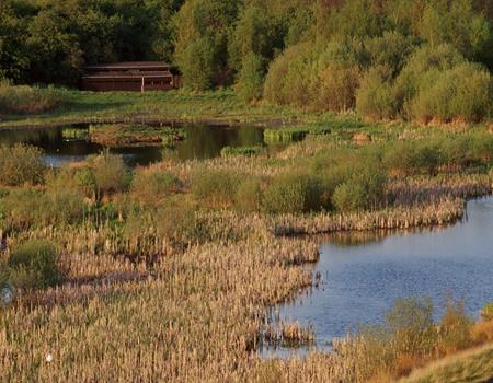 RSPB Fairburn Ings - Second Image