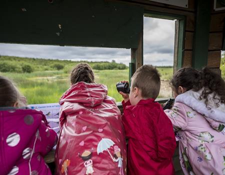 RSPB Fairburn Ings - Main Image