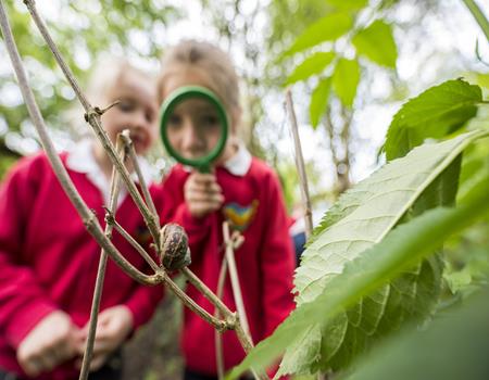 RSPB Fairburn Ings - Third Image