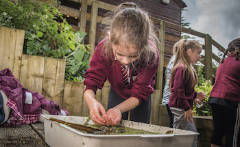RSPB Loch Leven - Second Image