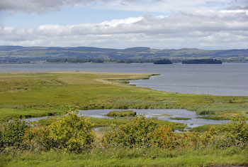 RSPB Loch Leven - Third Image