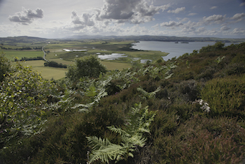 RSPB Loch Leven - Forth Image