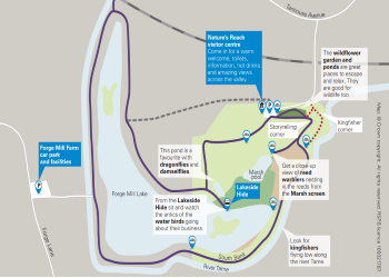 RSPB Sandwell Valley Nature Reserve - Third Image