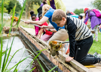 RSPB Sandwell Valley Nature Reserve - Main Image
