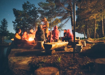 The Bioasis: Rewilding Residentials at a Classified Location - Second Image