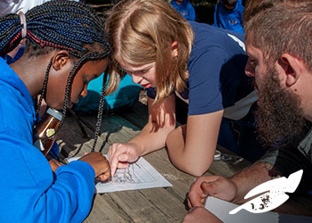Cuffley Camp An Active Learning Centre - Forth Image