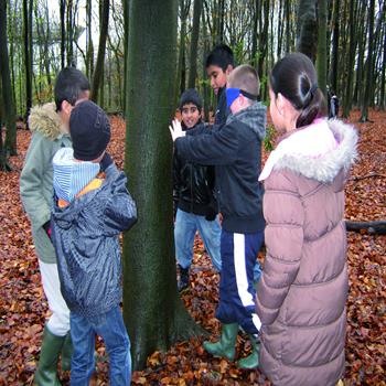 Amersham Field Studies Activity Environment Centre Field Studies Council - Third Image