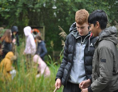 Bishops Wood Field Studies Activity Environment Centre Field Studies Council - Main Image