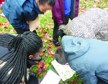 Field Studies Council London Sites Field Studies Council - Third Image