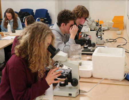 Flatford Mill Outdoor Residential Centre Colchester Field Studies Council - Second Image