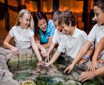 SEA LIFE Loch Lomond - Second Image