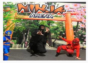 Ninja Arena Eastbourne Adventure Activity Park - Main Image
