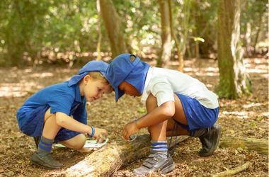 The Hive Environmental Centre Essex - Third Image