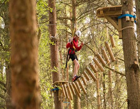 Wild Pines Park Lincolnshire - Third Image