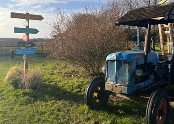 Cholderton Rare Breeds Farm Park and Animal Experiences Salisbury, Wiltshire - Third Image