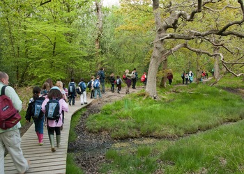 Countryside Education Trust Outdoor education day trips Hampshire - Third Image