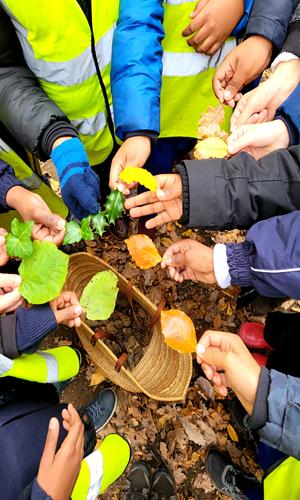 Teach Wild Outdoor Learning Workshops London and South East - Second Image Teach Wild Outdoor Learning Workshops London and South East - Second Image