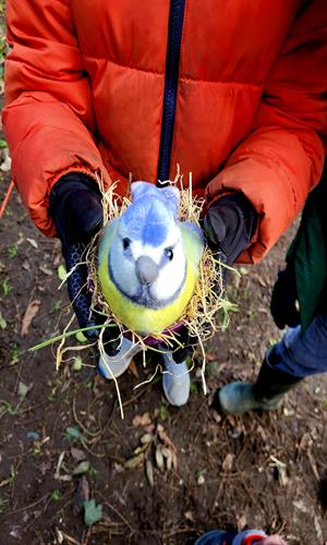 Teach Wild Outdoor Learning Workshops London and South East - Third Image Teach Wild Outdoor Learning Workshops London and South East - Third Image