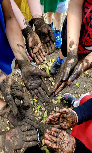 Teach Wild Outdoor Learning Workshops London and South East - Forth Image Teach Wild Outdoor Learning Workshops London and South East - Forth Image