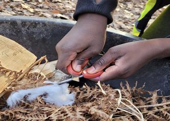 Teach Wild Outdoor Learning Workshops London and South East - Main Image Teach Wild Outdoor Learning Workshops London and South East - Main Image