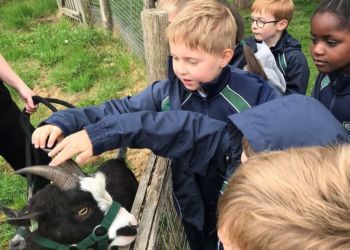 Hobbledown Themed Adventure Activity Park and Zoo Epsom - Second Image