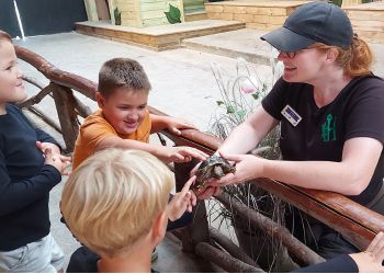Hobbledown Themed Adventure Activity Park and Zoo Epsom - Forth Image