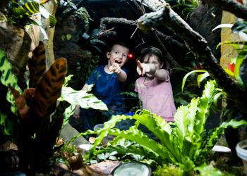 Hobbledown Themed Adventure Activity Park and Zoo Epsom - Main Image