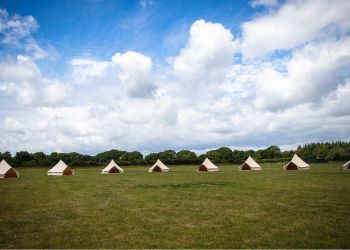 New Forest Activities - Second Image New Forest Activities - Second Image