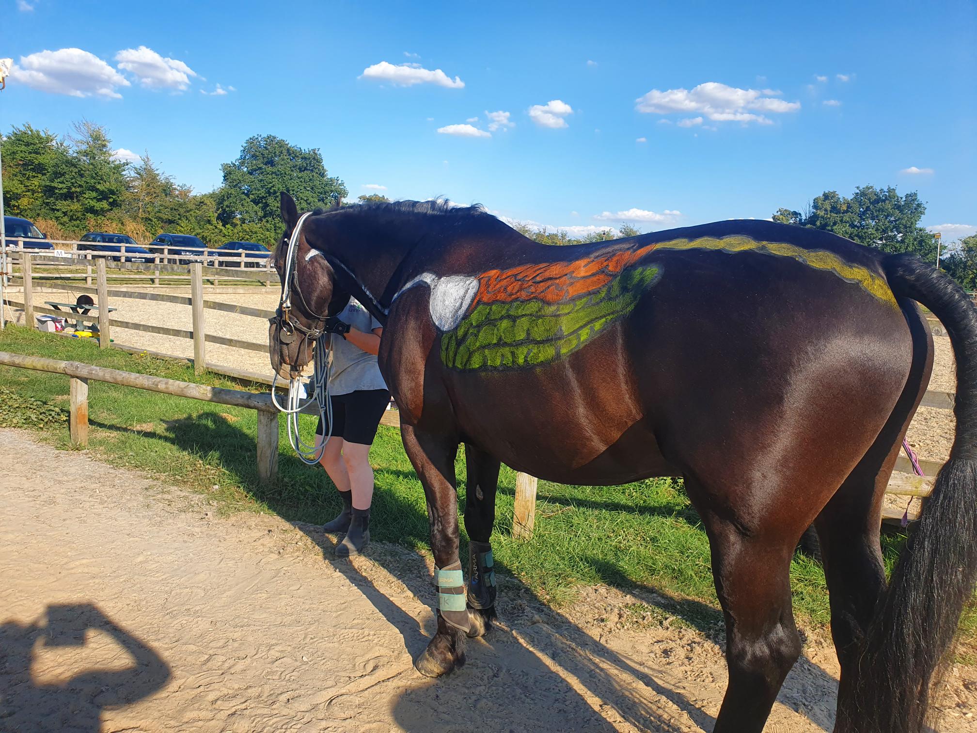 Rein and Shine Equestrian Centre - Second Image