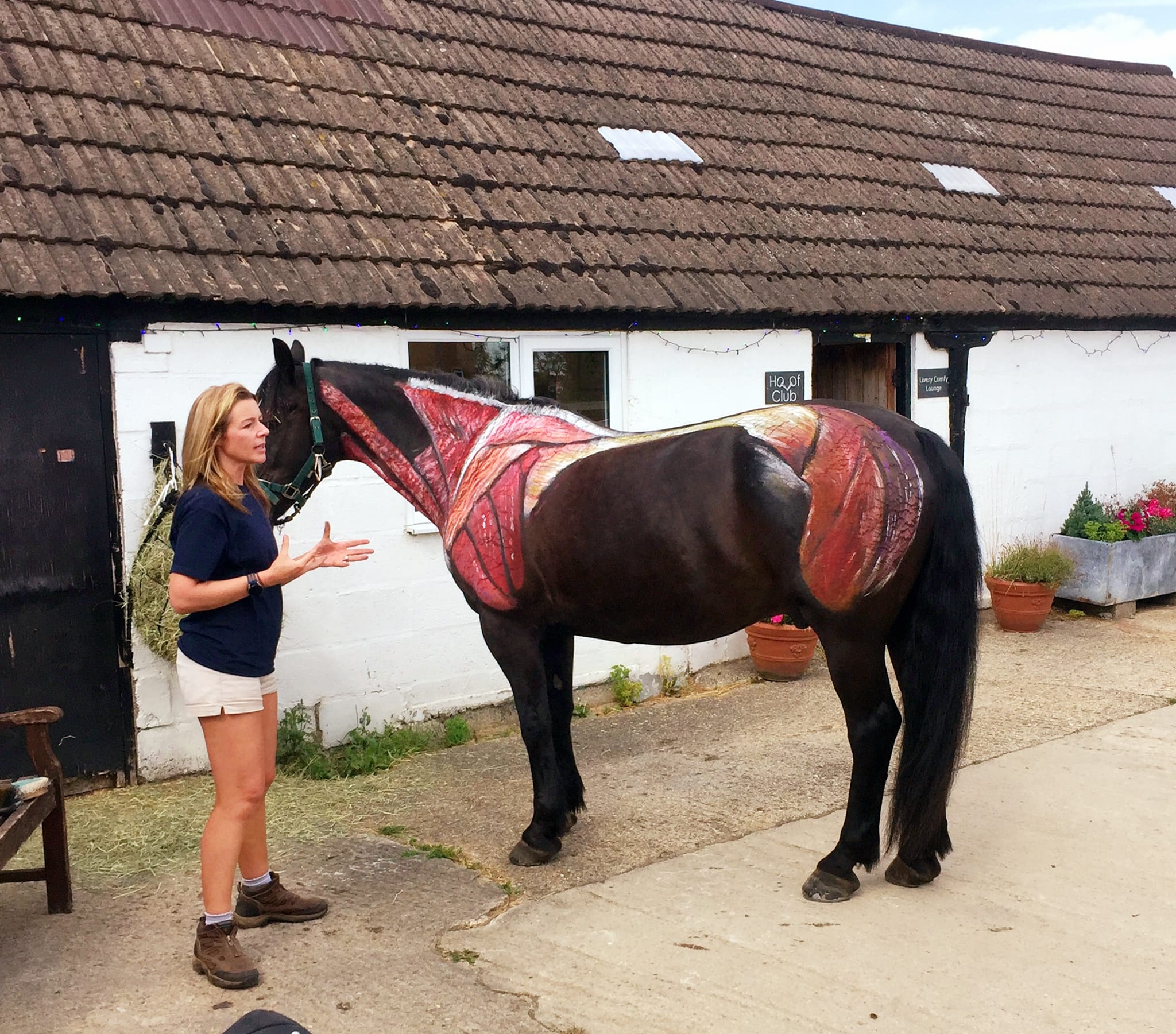 Rein and Shine Equestrian Centre - Forth Image